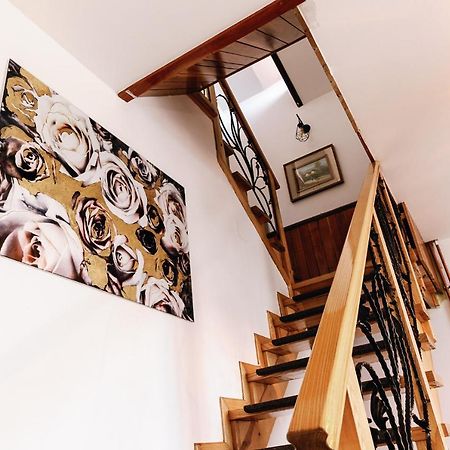 Casa Tamplarului Βίλα Άλμπα Ιούλια Εξωτερικό φωτογραφία